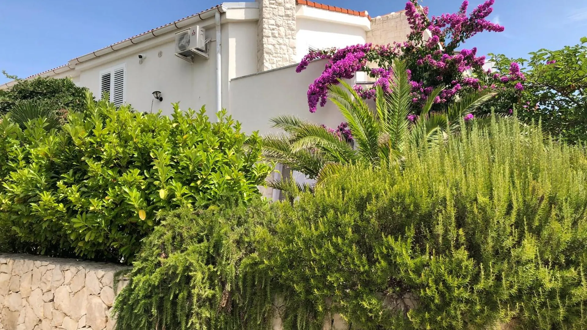 Mirakul Apartments Vir